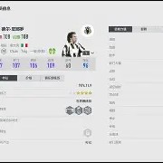 凤凰娱乐APP-超级传奇巨星